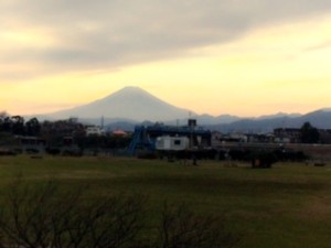 今年もよろしくお願いします！　　　　トリコヘア